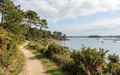 Balade Morbihan bord de mer : idées et parcours à découvrir