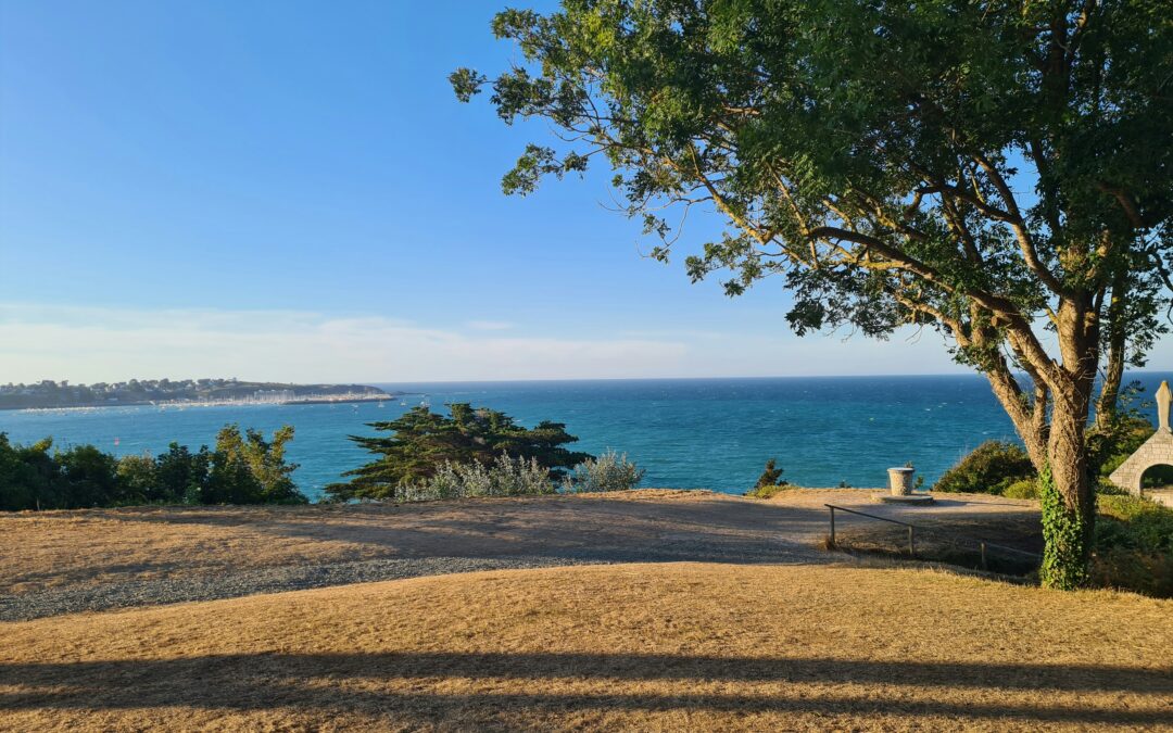 Réussir sa haie brise-vent en Bretagne : le guide technique