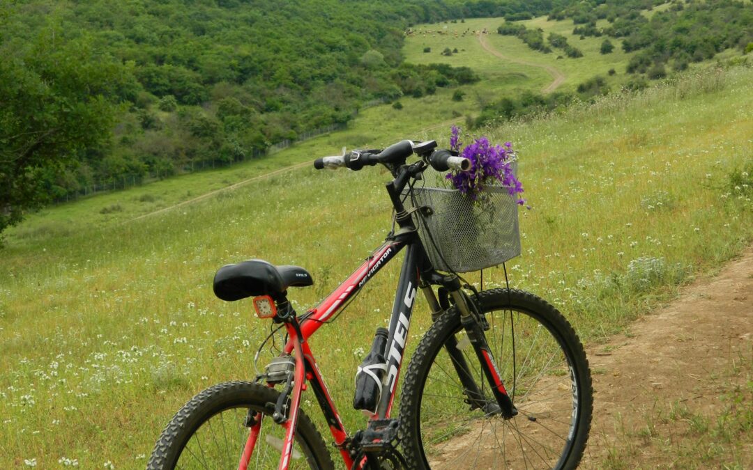 Rando VTT Morbihan : Top parcours et conseils pratiques
